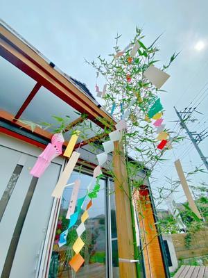 IMG_5535.JPGのサムネイル画像