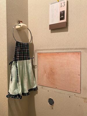 Blog20210519 (4).JPG