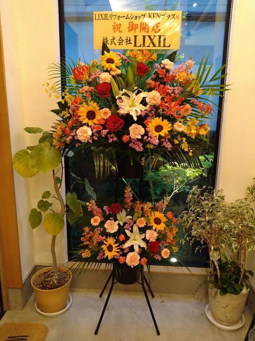 123295.jpgのサムネイル画像