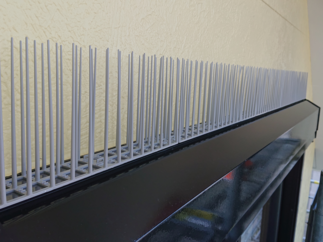 鳥よけを設置しました