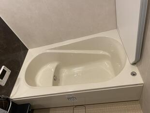 上質な癒し空間へ　浴室リノベーション　川口市