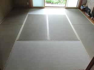 その日のうちに原因特定！見つかったシロアリ被害の対処工事