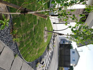 築山で遊び心のあるデザインに。