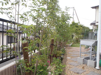 裏手には常緑の植栽で目隠し。