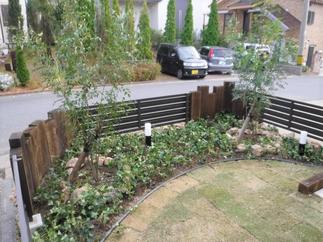 ドッグランの内側には植栽を植えて見た目にも鮮やかに。