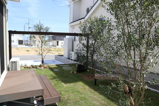 オリーブが綺麗なお庭。