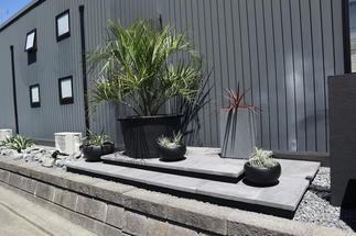 お気に入りの植物専用のステージ