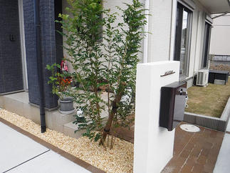 シマトネリコでさりげなく目隠しも。