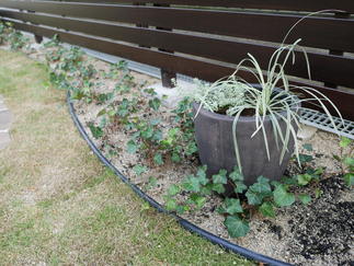 ポイントにプランター植栽もプラス。