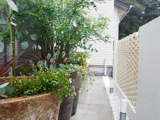 プランター植栽で彩りをプラス。