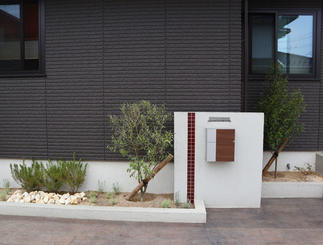 門壁横にもオリーブを追加。