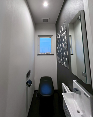 SATIS Xとエコカラットセルフで感性を満たすトイレリフォーム