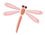 dragonfly-illust021.png