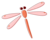 dragonfly-illust022.png