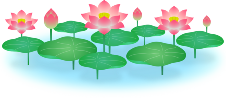 lotus_005-2-1536x671.png