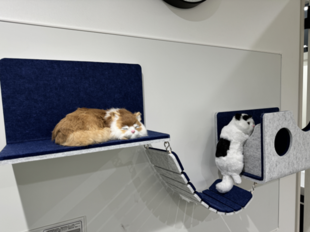 キャットウォール猫壁(にゃんぺき)｜LIXIL