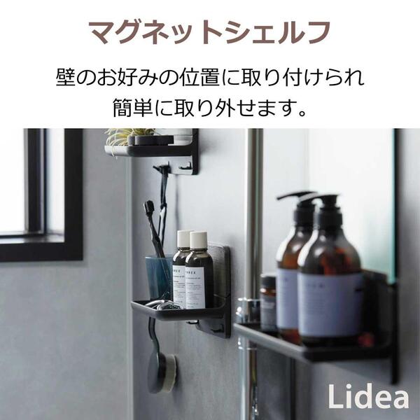 Lidea_magnet (1).jpg