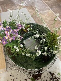 寄せ植え③.jpeg