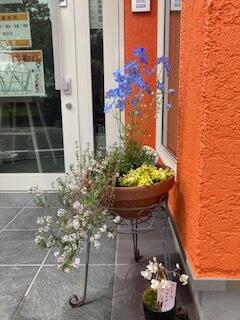 寄せ植え⑤.jpeg