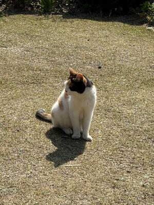 IMG_1184 2のコピー2.jpg