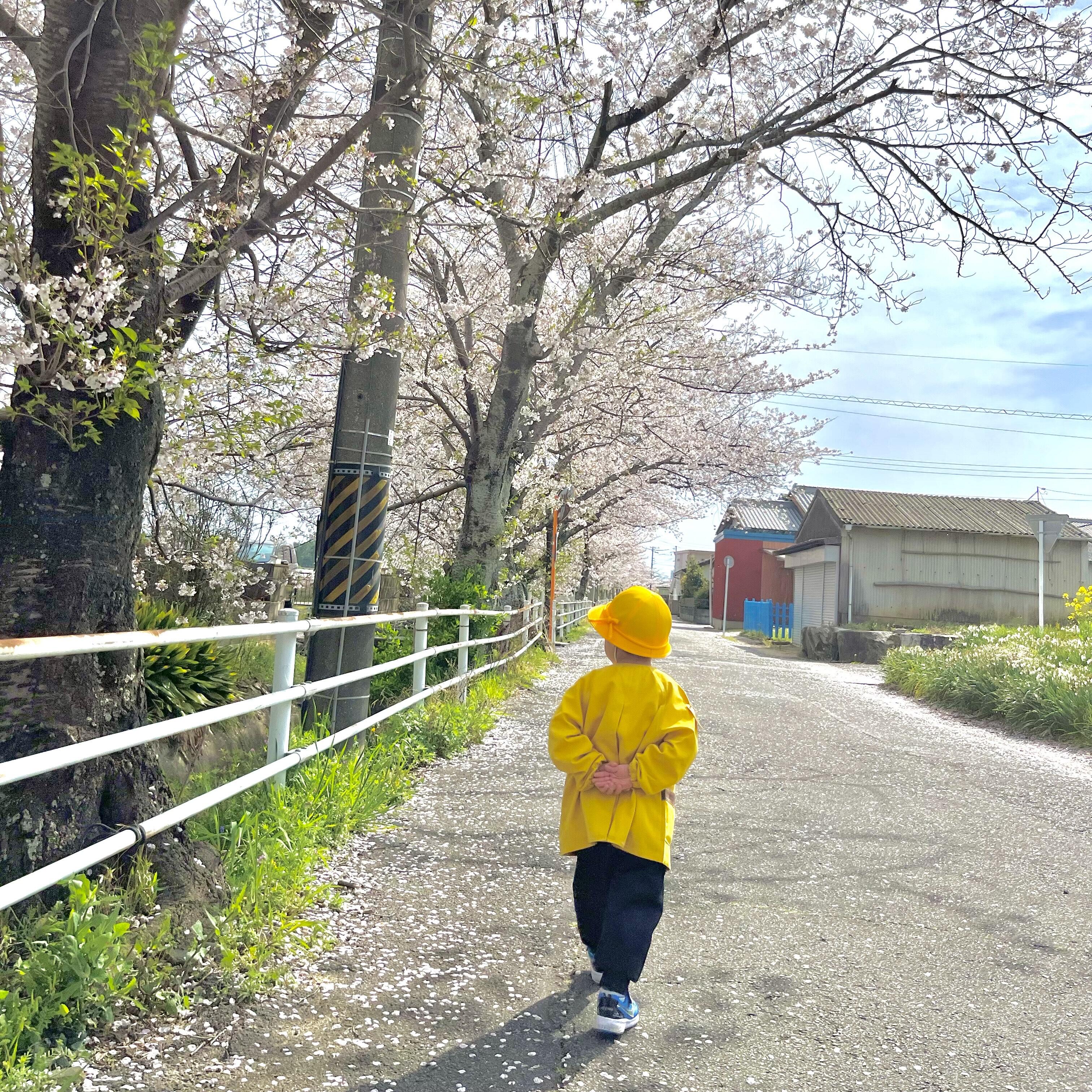 進級（年少さん） (2).jpeg