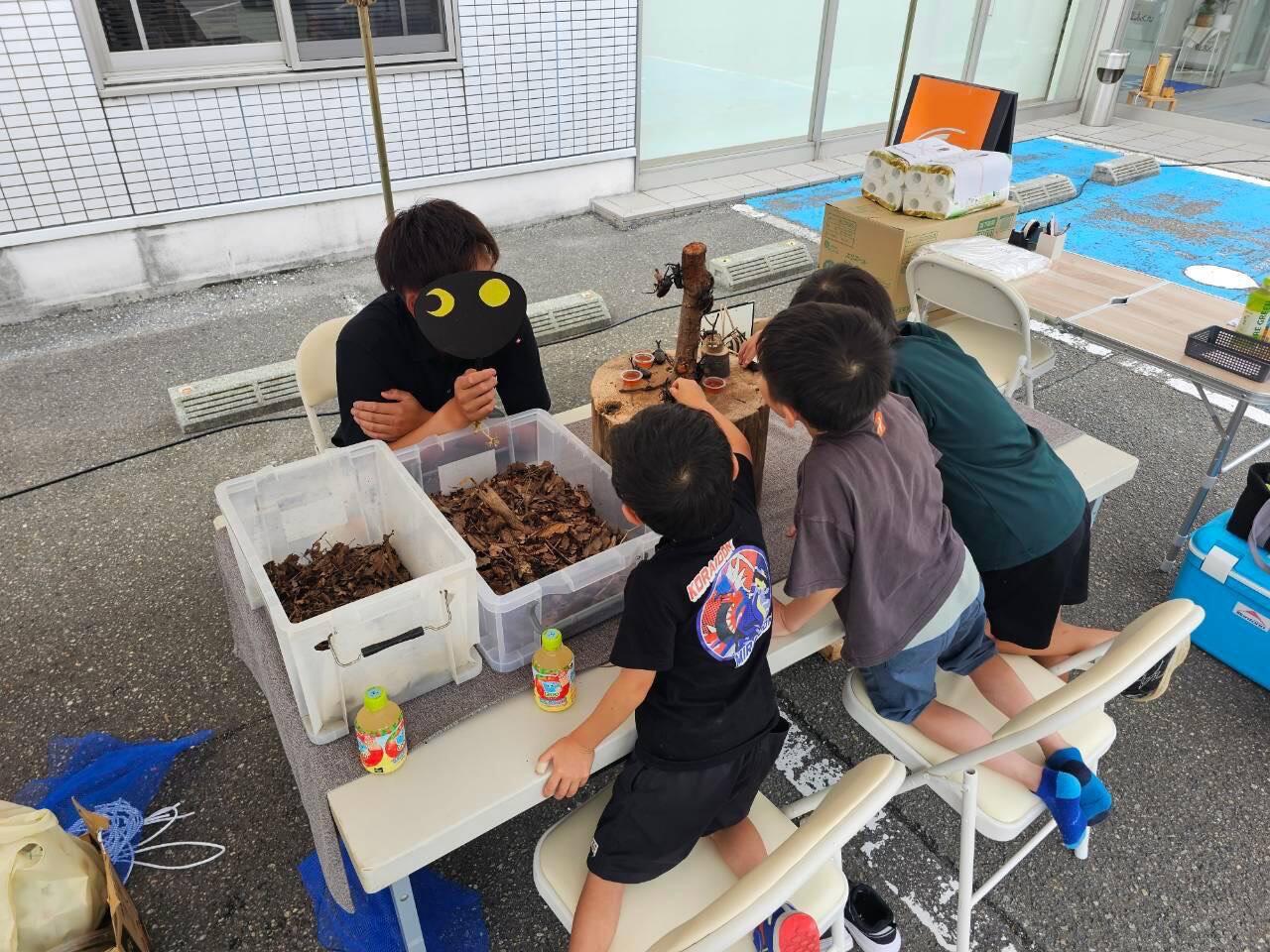 カブトムシ相撲.jpg