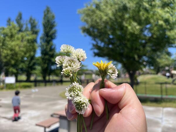 IMG_8203.jpeg
