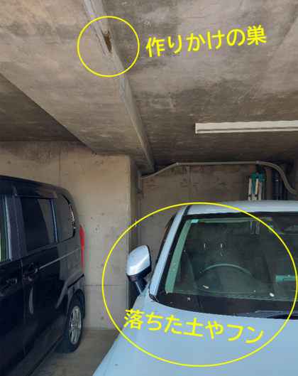 ブログ①.png