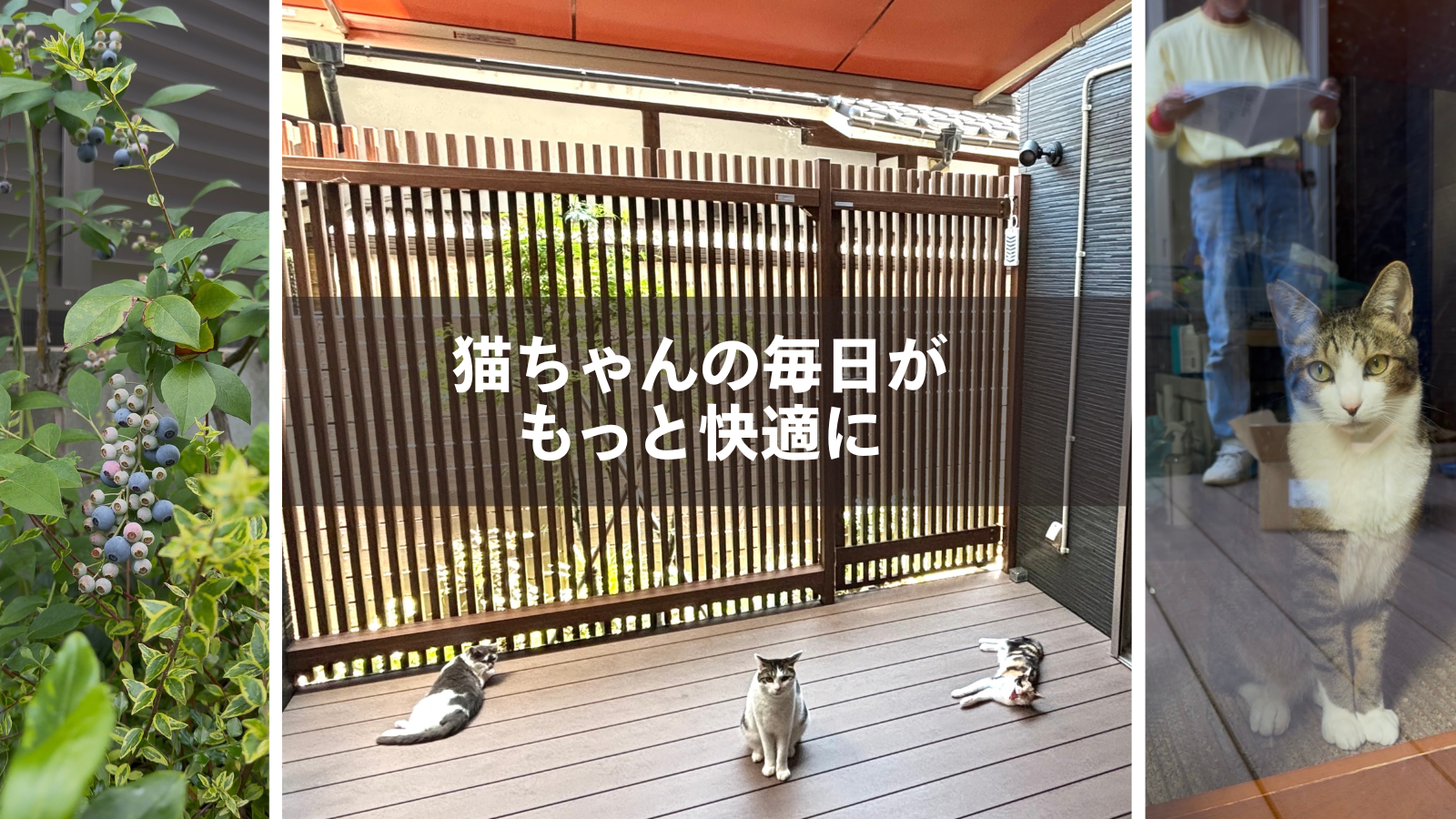 上品なカラーのキッチンと 無垢の床が生えるダイニング (2).png