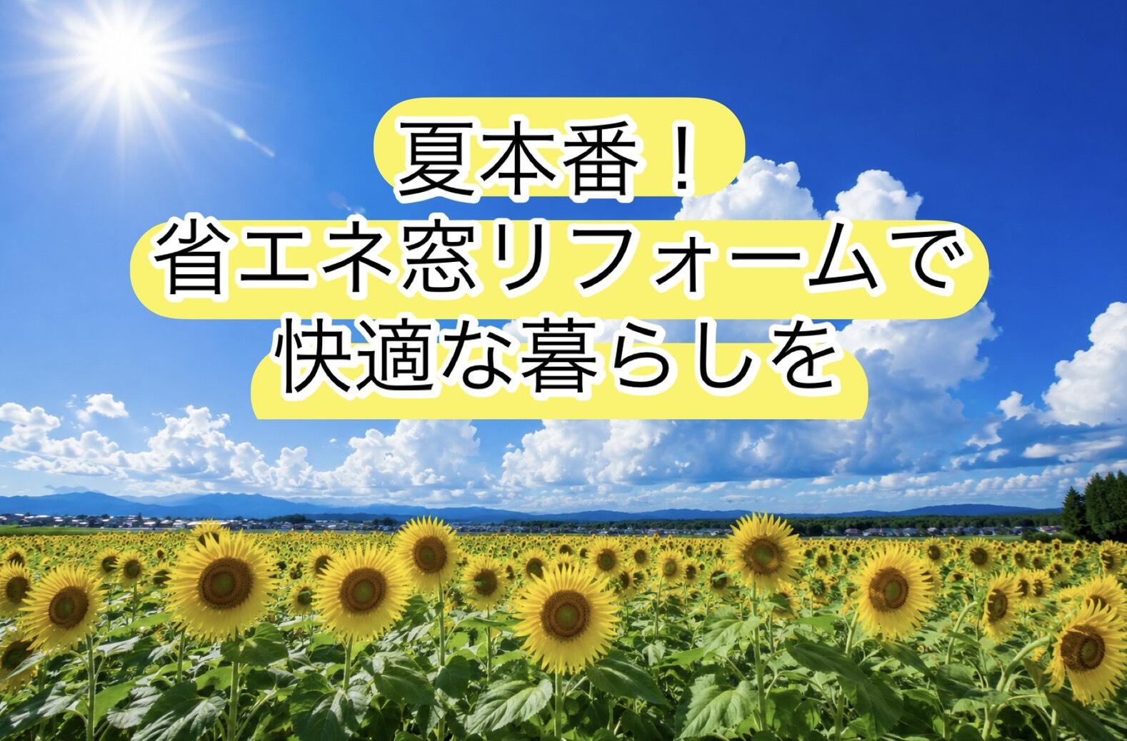 S__129662978.jpg